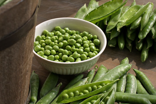 Simple Pleasures – English Peas