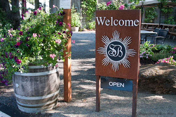 Sokol Blosser vineyard-2