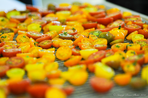 Roasting tomatoes