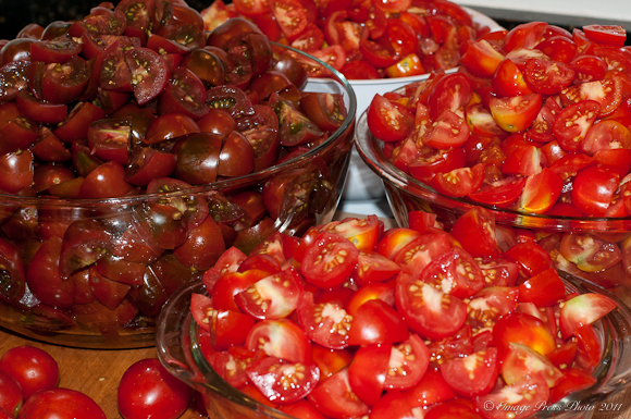 Tomato