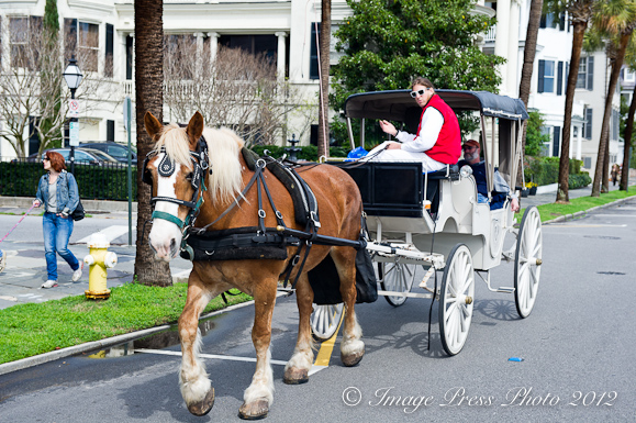 Horse and carriage