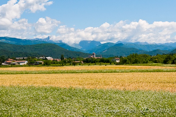Friuli Italy-2-2
