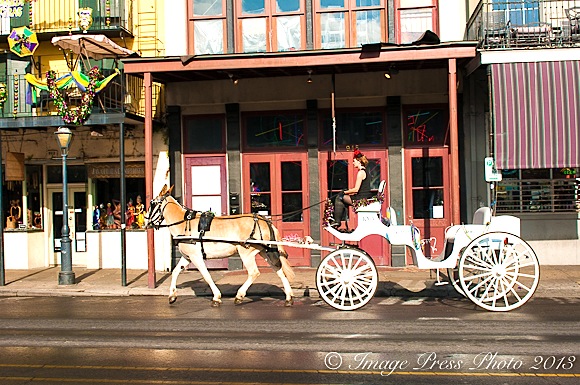 A carriage ride on Decatur Street
