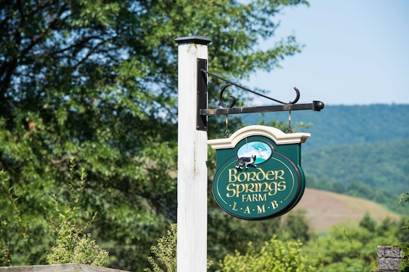 Border Springs Farm in Patrick Springs, Virginia