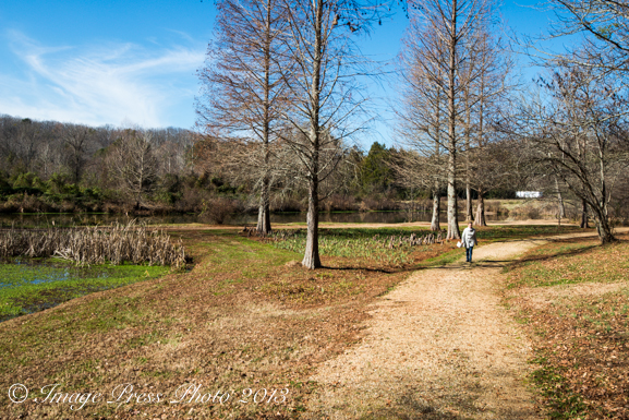 Walking trails behind the manor house ruins