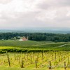 travel, special destinations, wineries