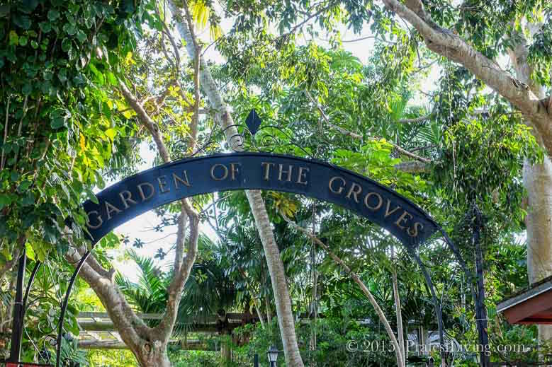 Tour and lunch at Garden of the Groves