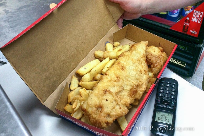 Fried Fish and Chips (1 of 1)