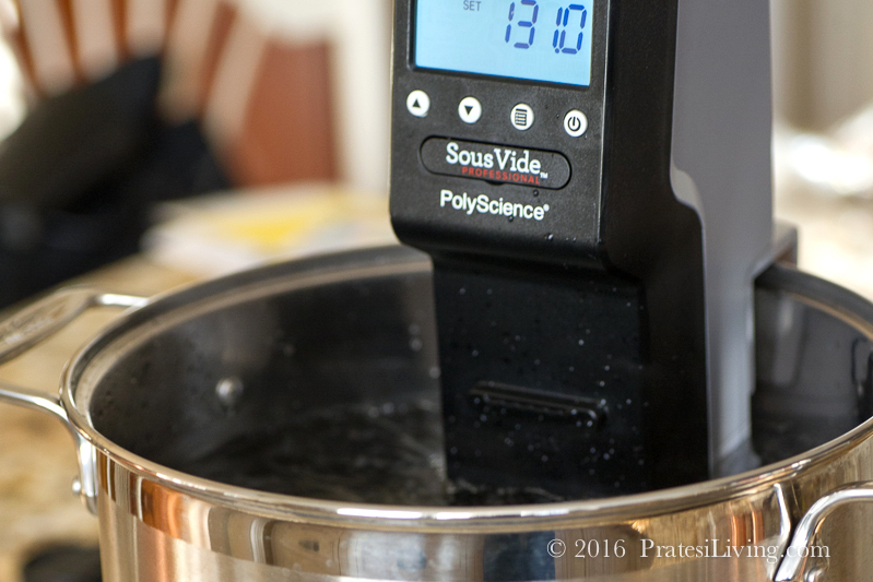 PolyScience Sous Vide (1 of 1)