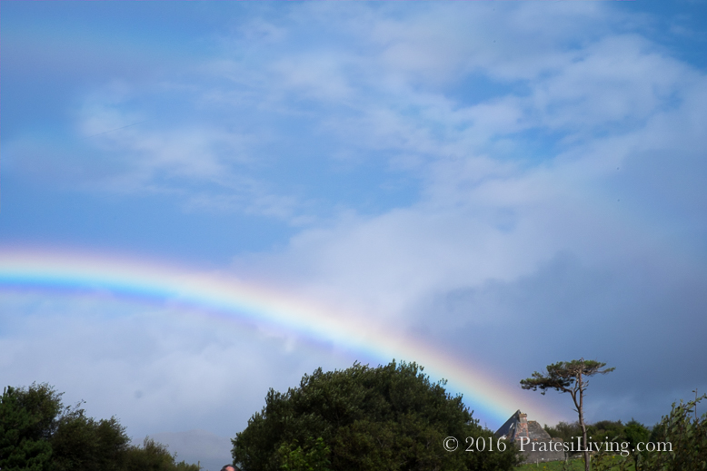 Rainbow (1 of 1)