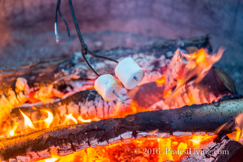 Getting warm and toasting marshmallows by the fire pit
