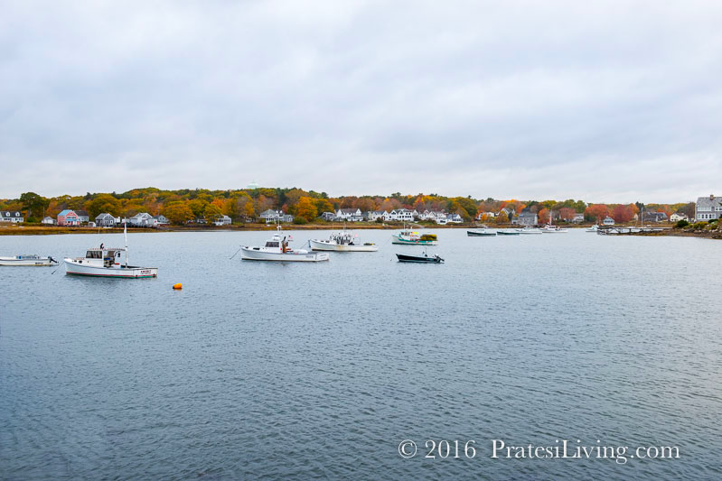 Cape Porpoise