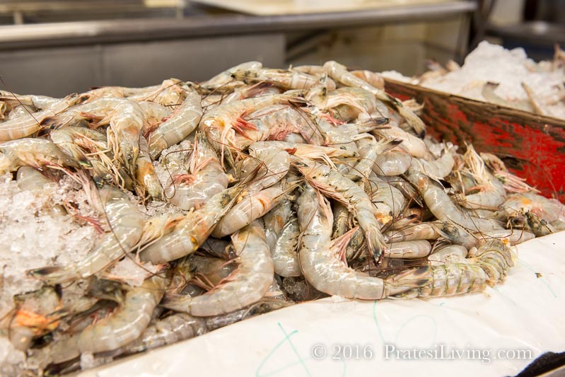 Carolina shrimp
