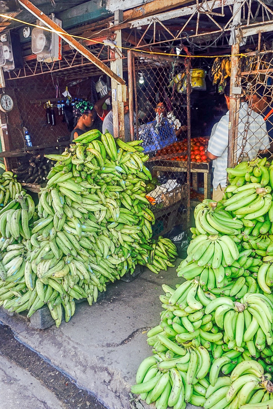 Bananas or Plantains