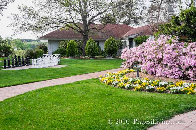 The grounds at the resort