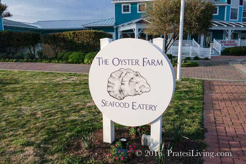 The Oyster Farm