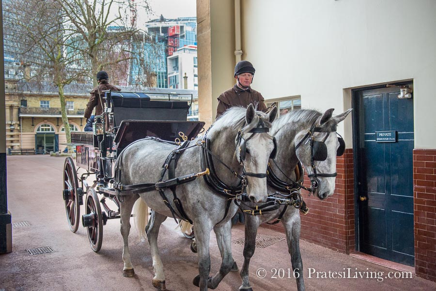 Lots of activity at the Queen's stables