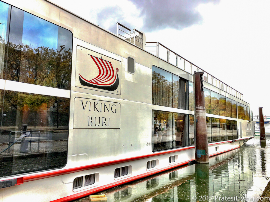 viking river cruise lyon to avignon reviews